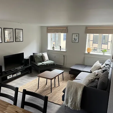 Visit Wonderful Center - 3 Bedroom Apartment Odense
