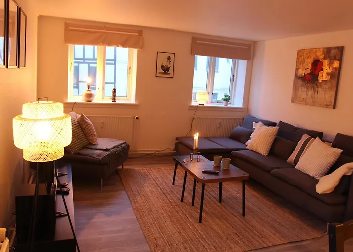 Visit Wonderful Center - 3 Bedroom 아파트 오덴세